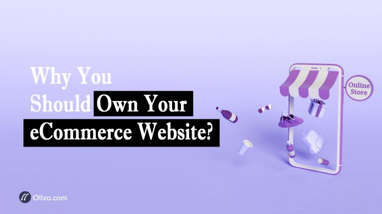 Why You Should Own Your eCommerce Website?